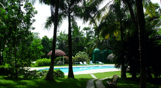 Swimming Pool for People love to play with water / Swimming